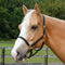 Country Pride Beta Halter